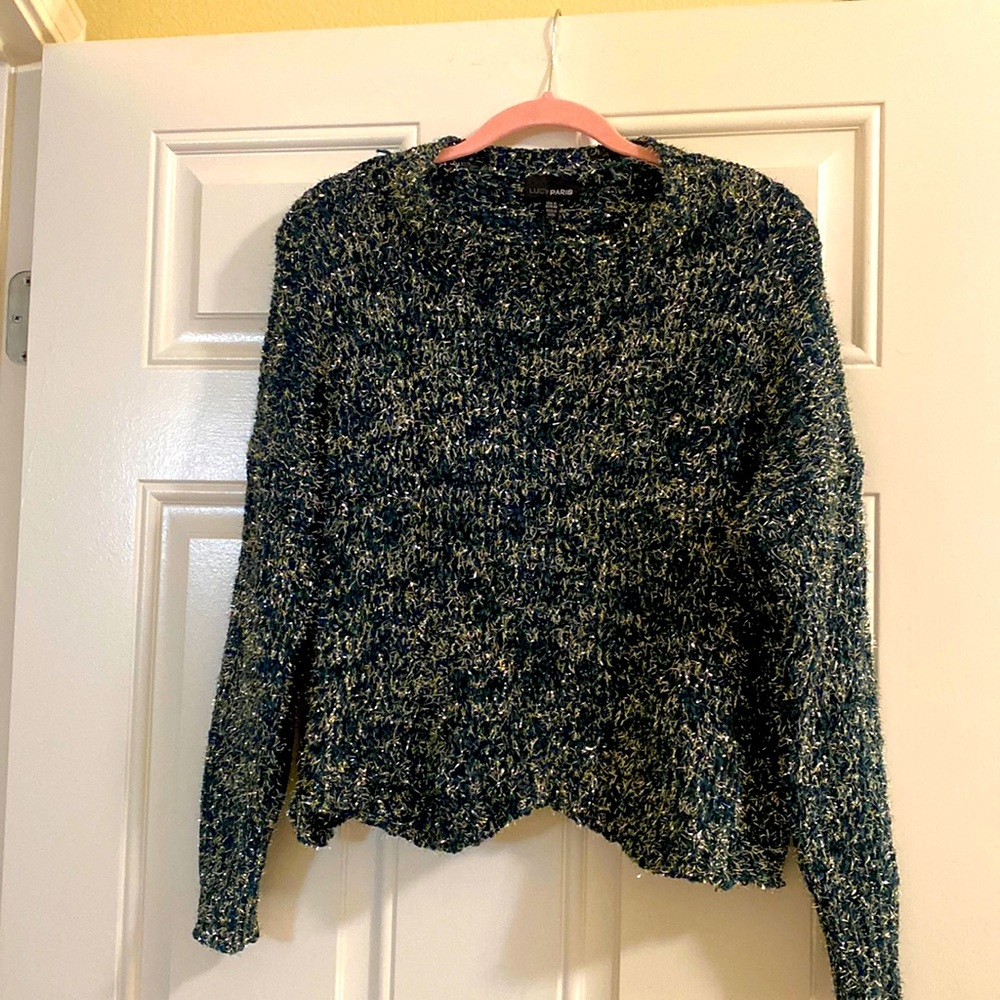 Green and silver Lucy Paris sweater